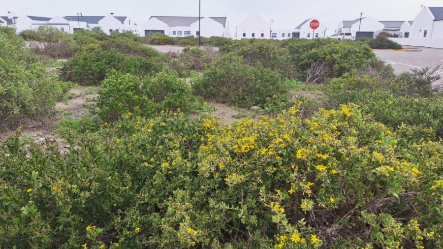 0 Bedroom Property for Sale in Laaiplek Western Cape